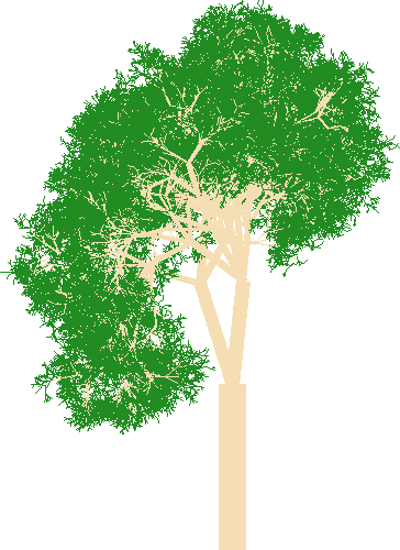 An image of a randomly generated tree