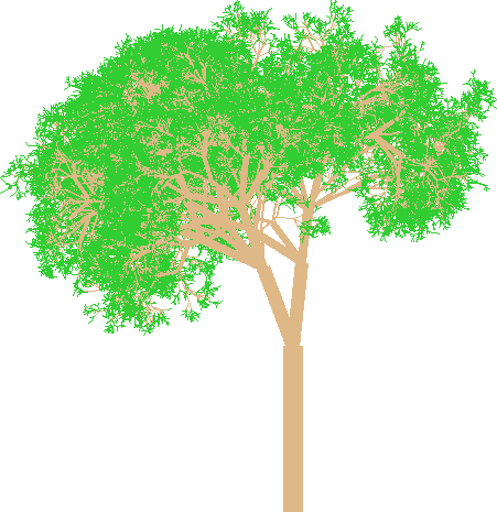 An image of a randomly generated tree