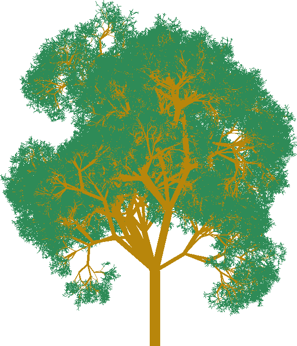 A procedurally drawn tree