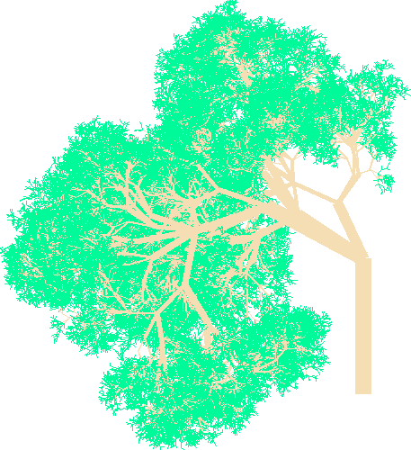 An image of a randomly generated tree