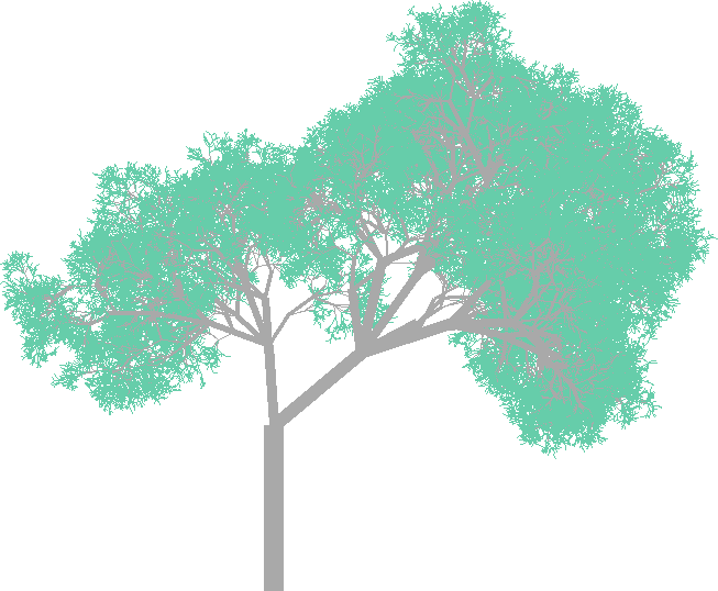 An image of a randomly generated tree