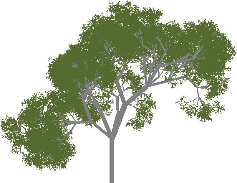 An image of a randomly generated tree