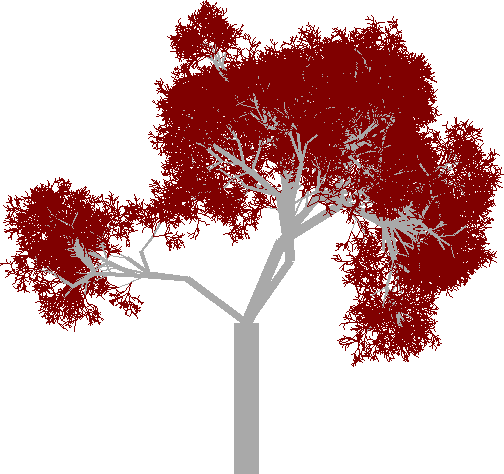 An image of a randomly generated tree