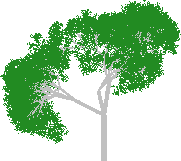 An image of a randomly generated tree