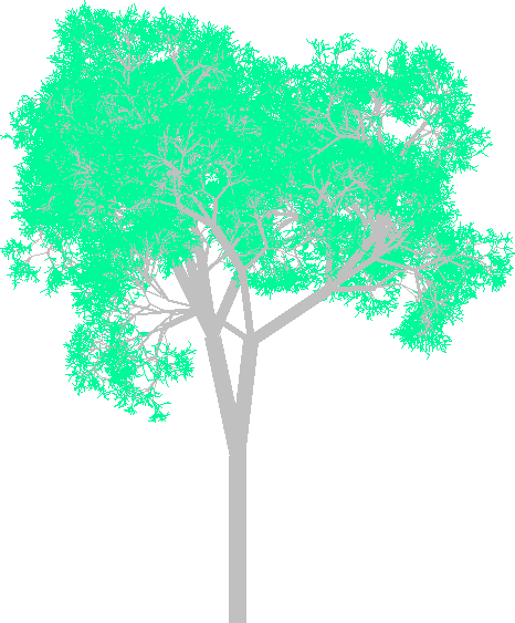 An image of a randomly generated tree