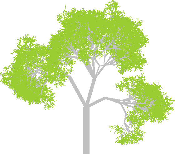 An image of a randomly generated tree