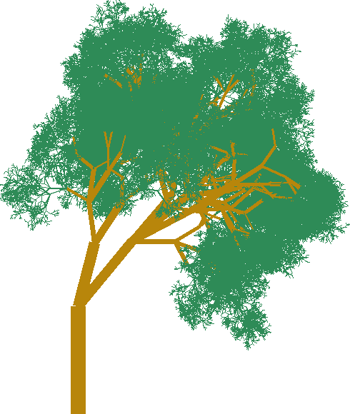 An image of a randomly generated tree